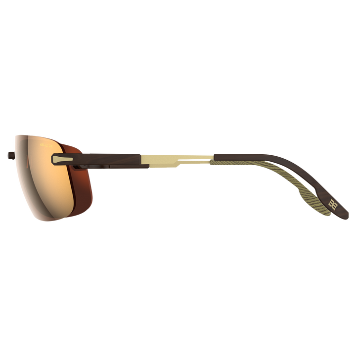 #color_tortoise-brown-gold