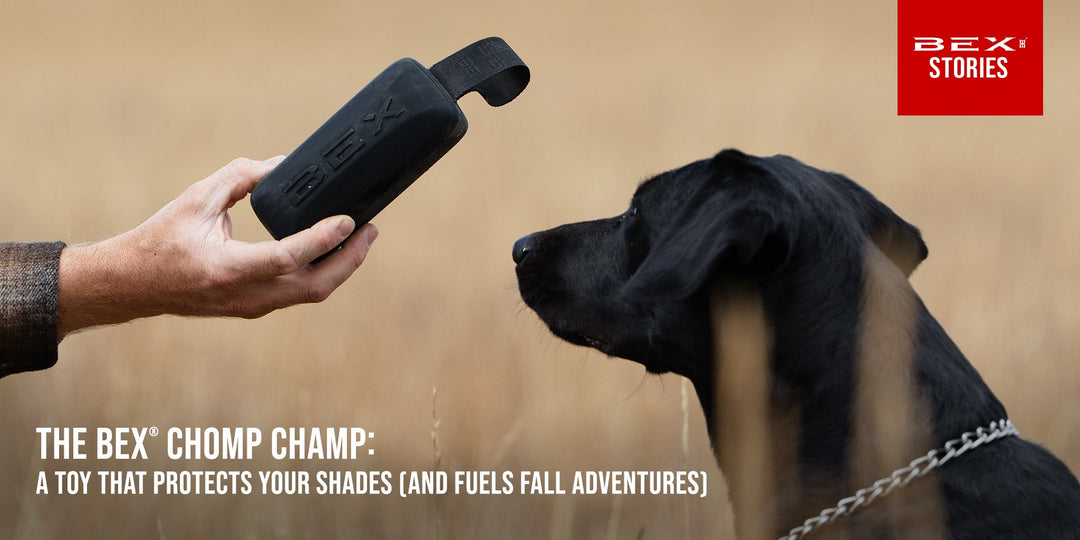 The BEX® Chomp Champ: <p> A Dog Toy That Protects Your Shades