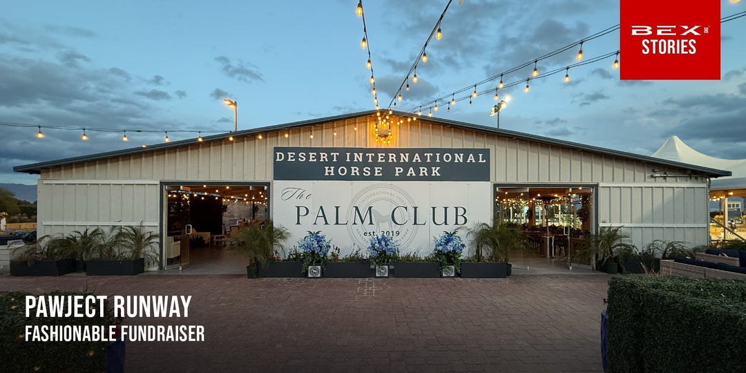 Fashionable Fundraiser: PAWject Runway