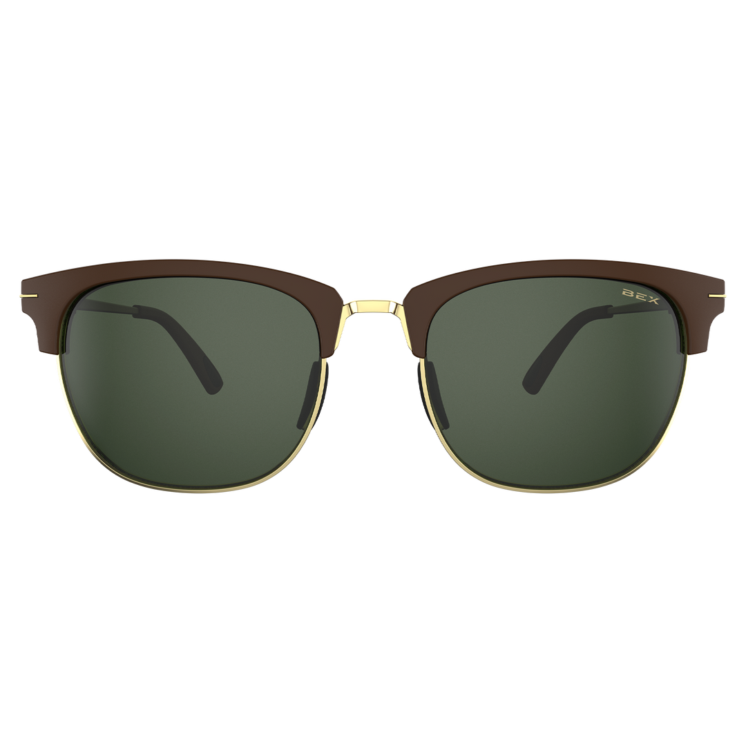 #color_chestnut-forest