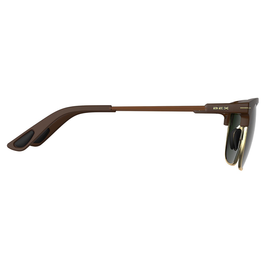 #color_chestnut-forest