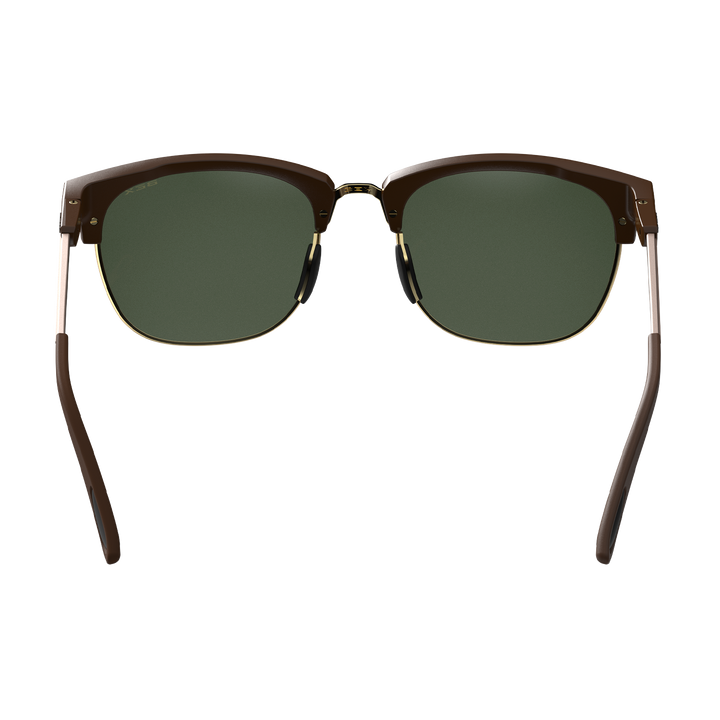 #color_chestnut-forest