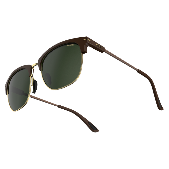 #color_chestnut-forest