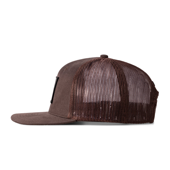 #color_brown