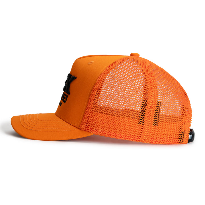 #color_blaze-orange