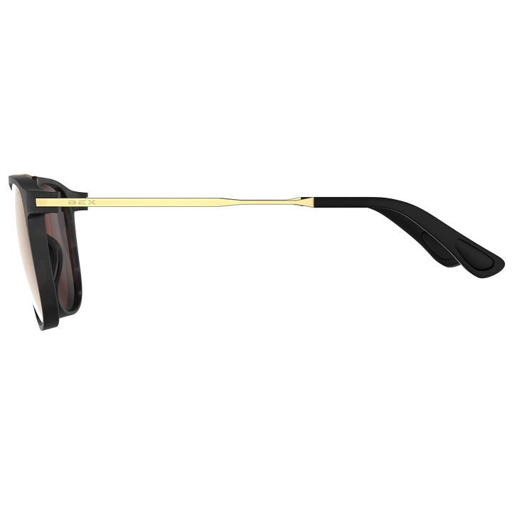 #color_tortoise-gray-brown-gold