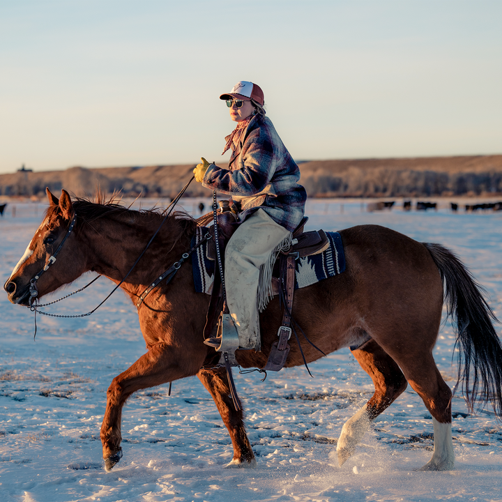 #color_chestnut-forest
