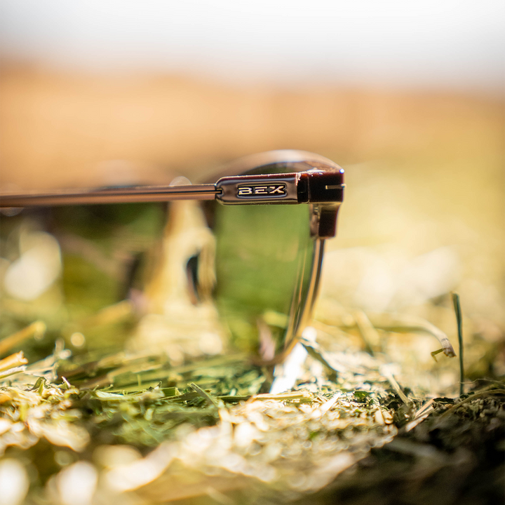 #color_chestnut-forest