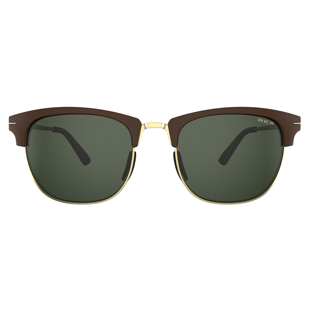 #color_chestnut-forest