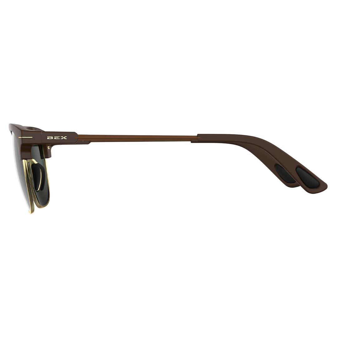 #color_chestnut-forest