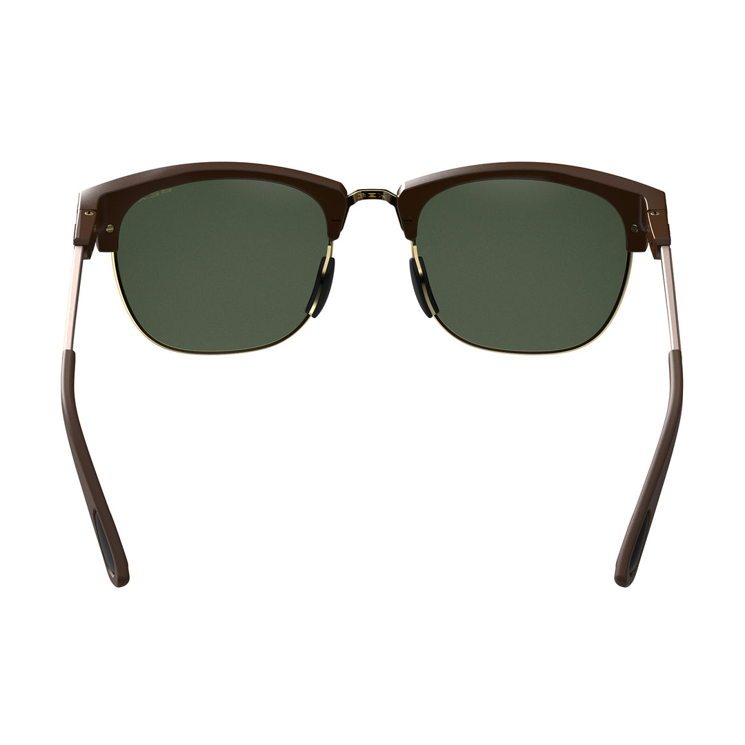 #color_chestnut-forest