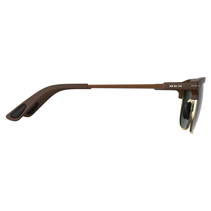 #color_chestnut-forest