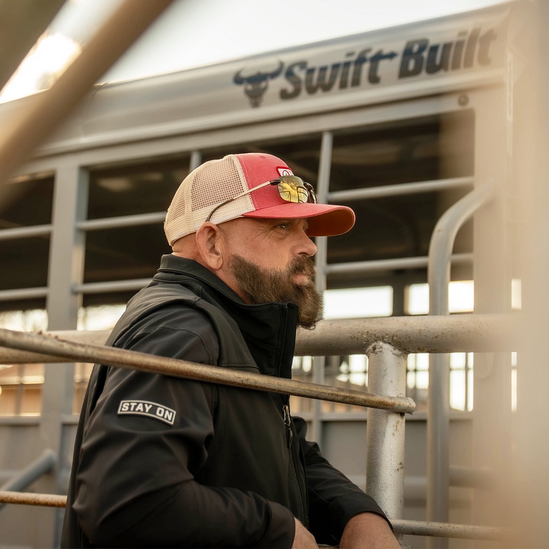 #color_gold-brown-gold