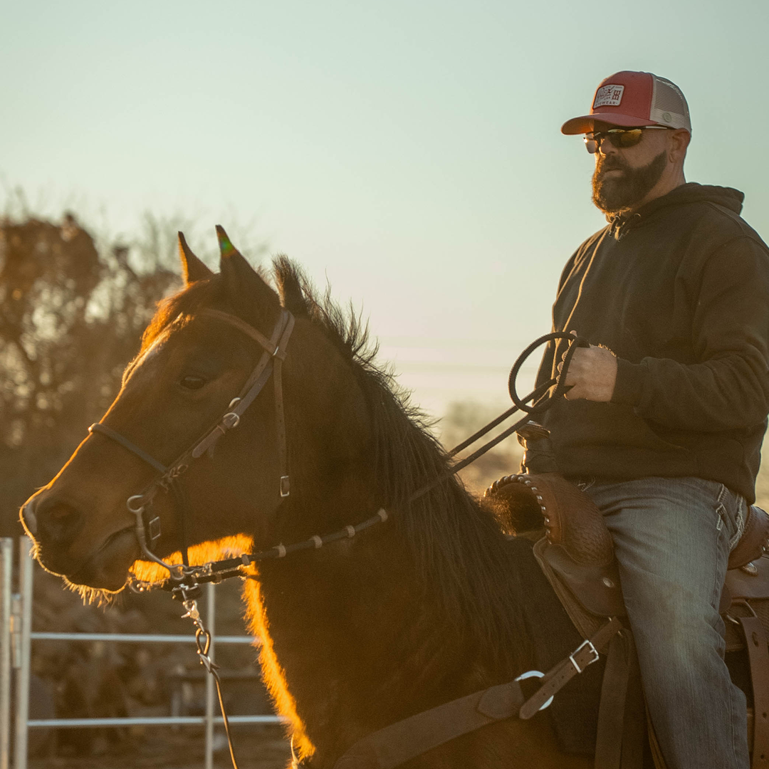 #color_gold-brown-gold
