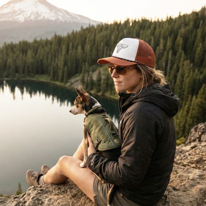 #color_gold-brown-gold