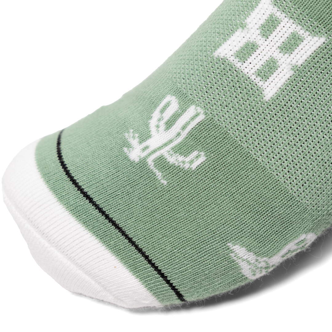 #color_western-whimsy-sage