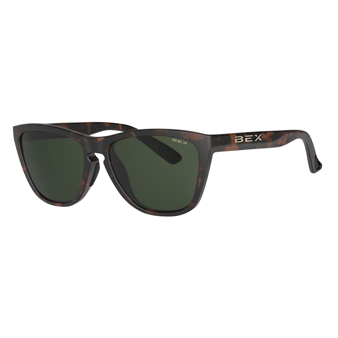 #color_tortoise-brown-forest