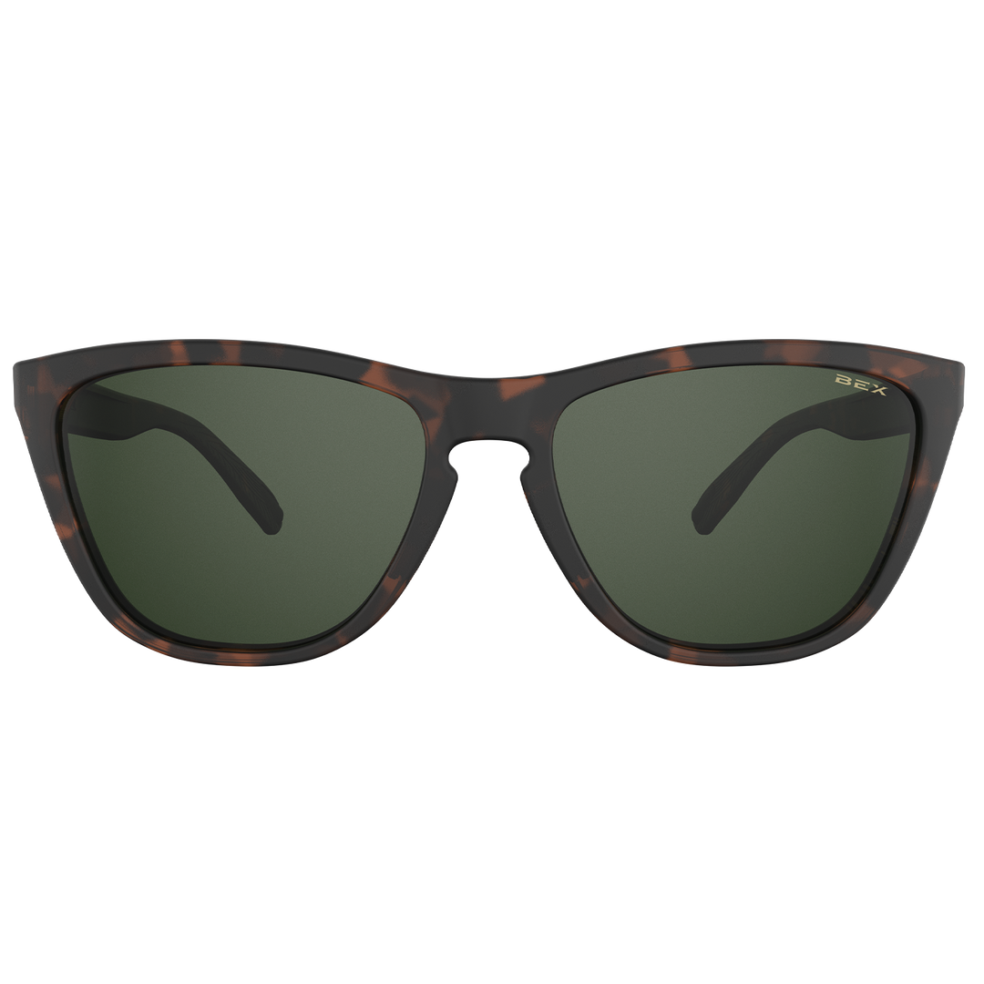#color_tortoise-brown-forest