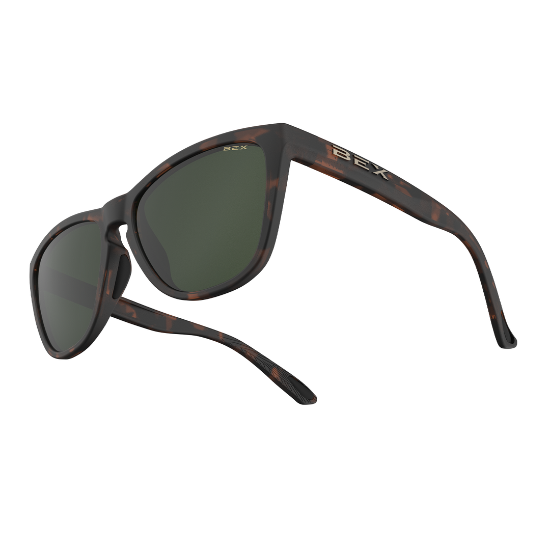#color_tortoise-brown-forest