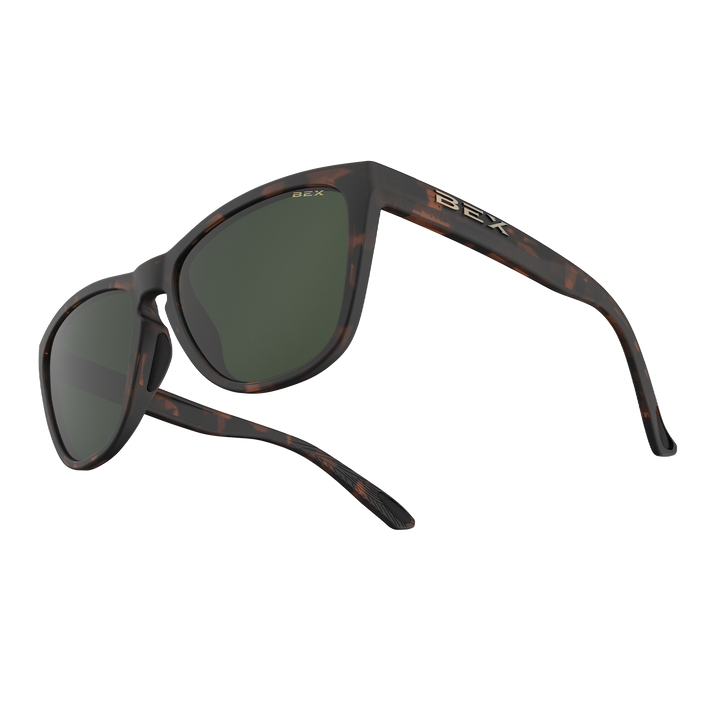 #color_tortoise-brown-forest
