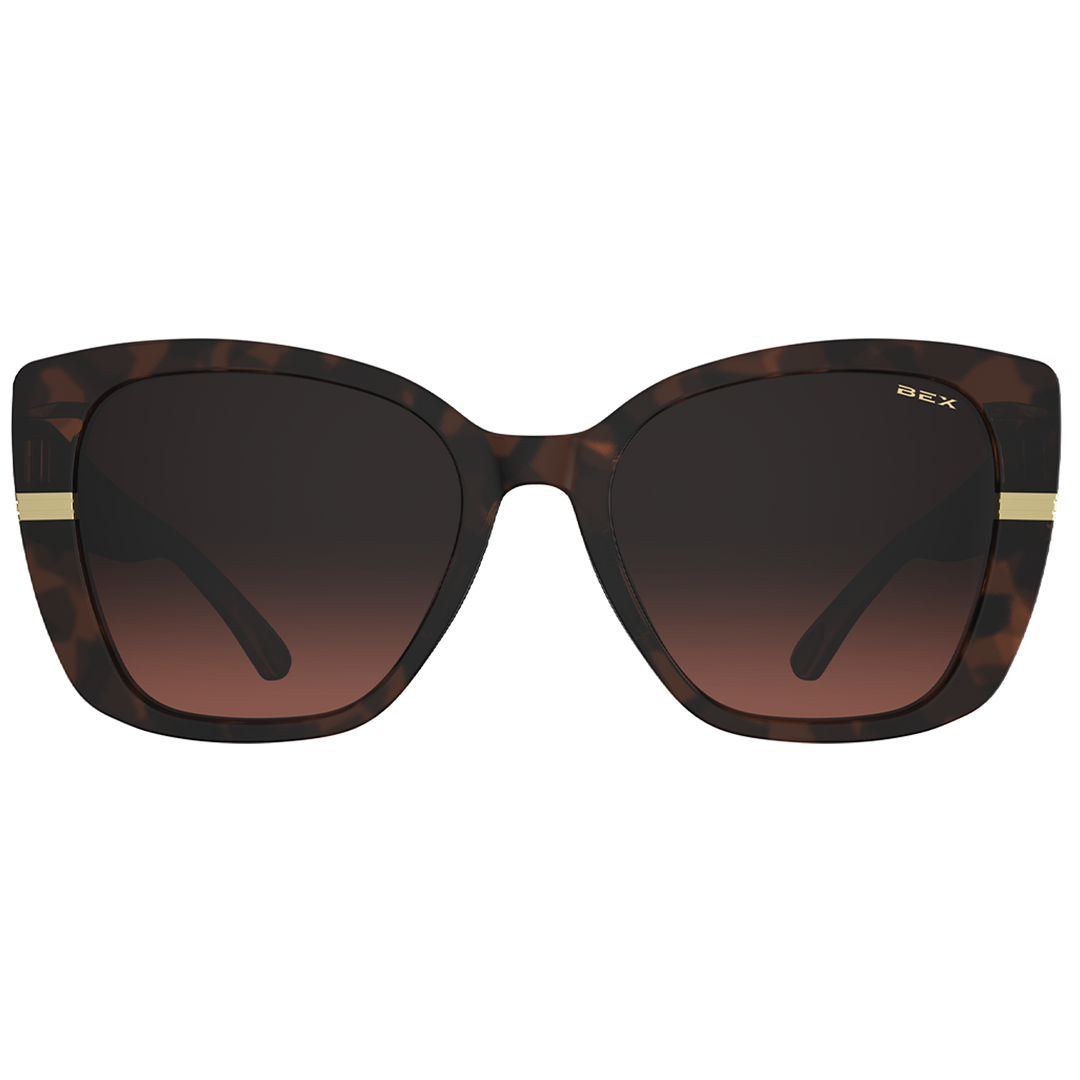 #color_polished-tortoise-brown-brown-gradient