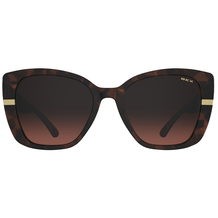 #color_polished-tortoise-brown-brown-gradient