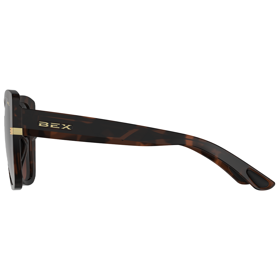 #color_polished-tortoise-brown-brown-gradient