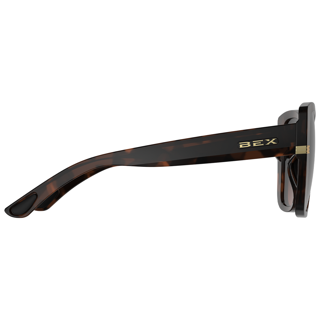 #color_polished-tortoise-brown-brown-gradient