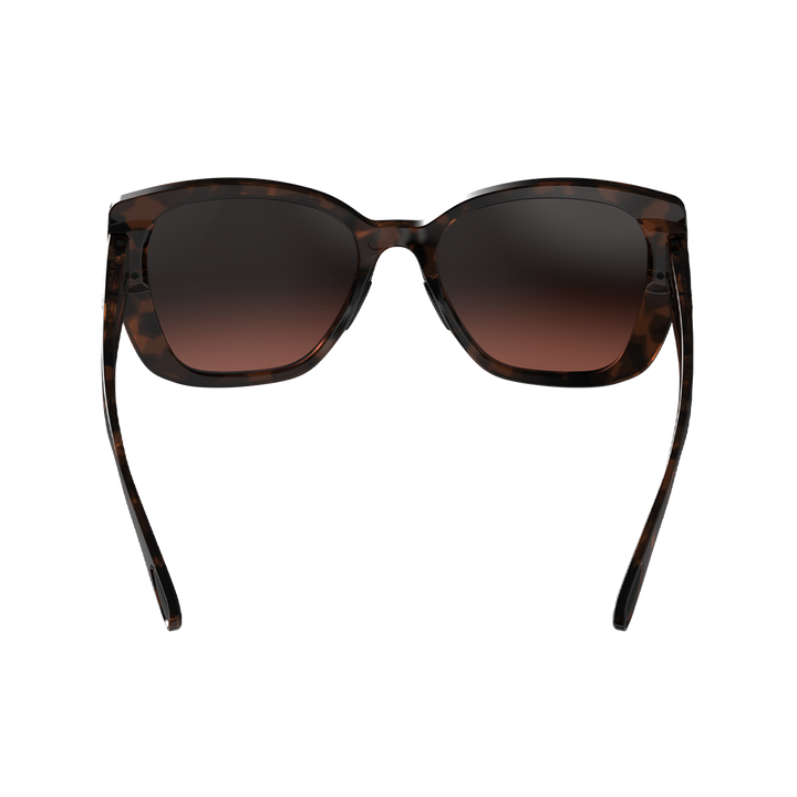#color_polished-tortoise-brown-brown-gradient