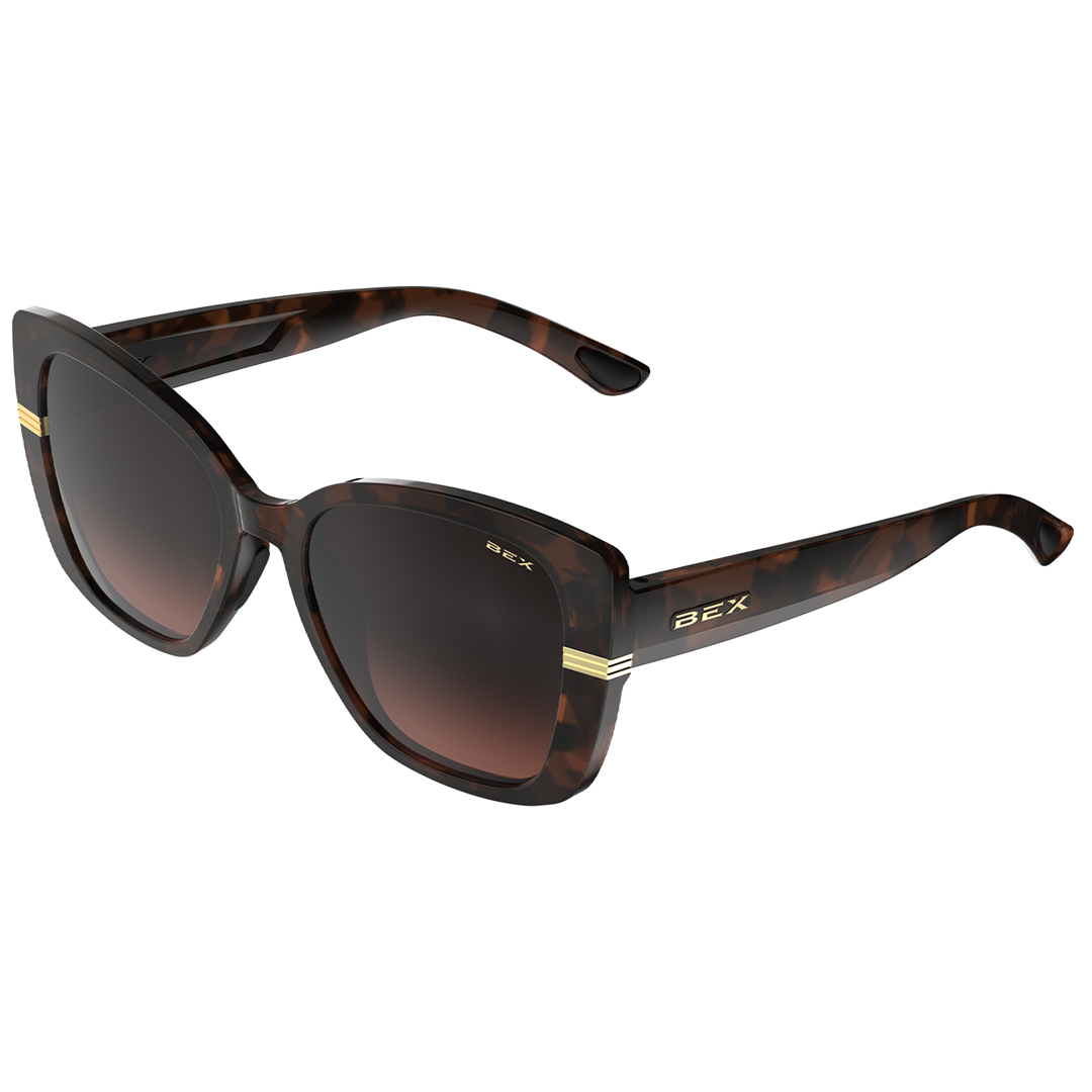 #color_polished-tortoise-brown-brown-gradient