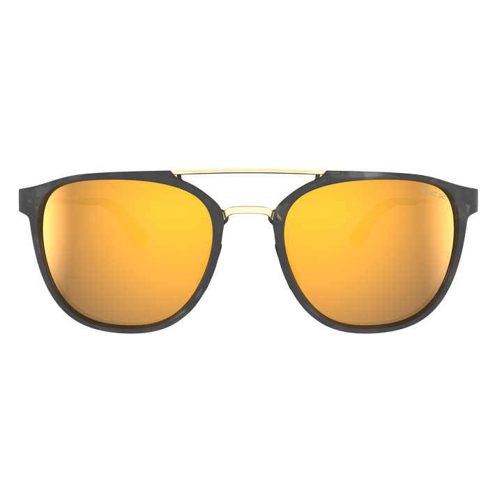 #color_tortoise-gray-brown-gold