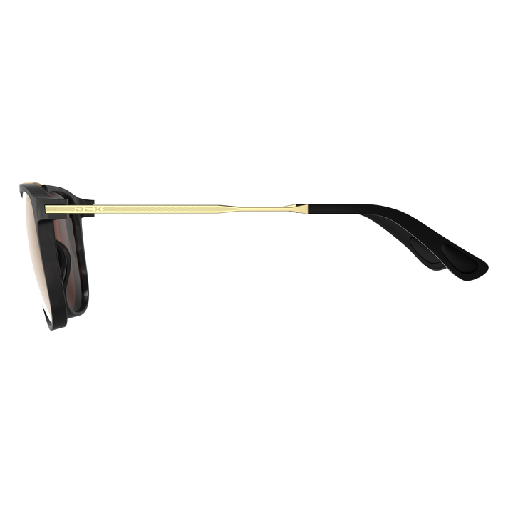 #color_tortoise-gray-brown-gold