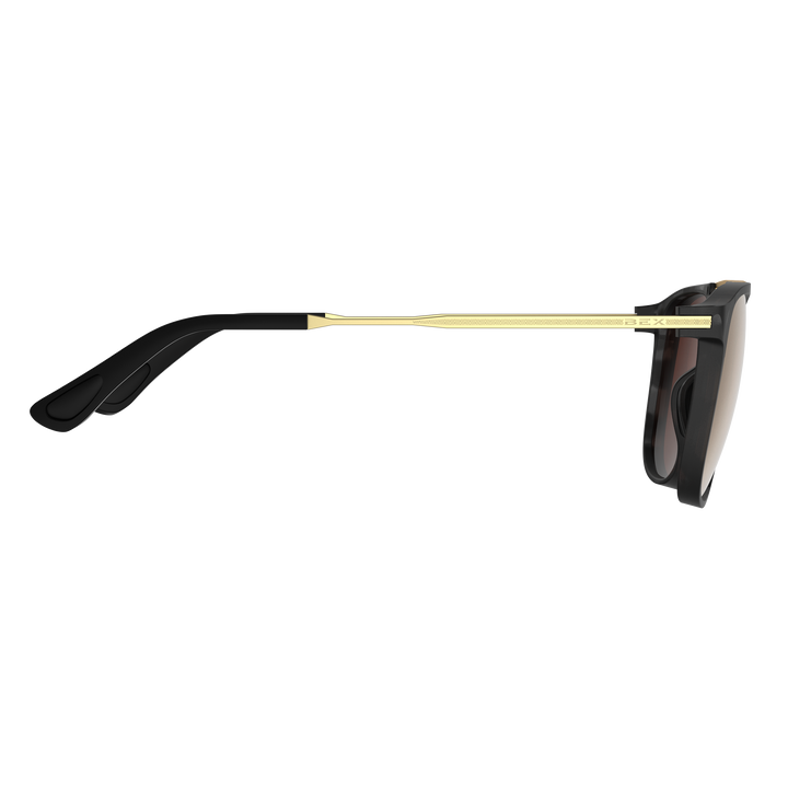 #color_tortoise-gray-brown-gold