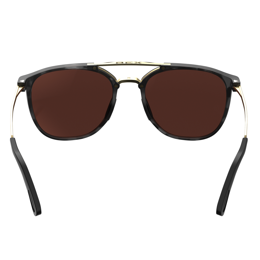 #color_tortoise-gray-brown-gold