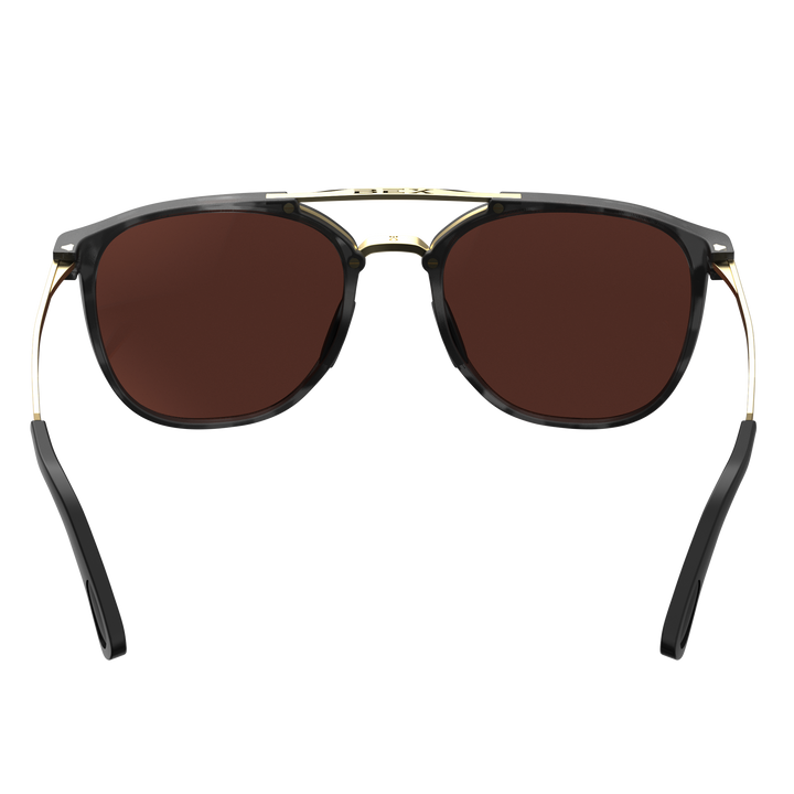 #color_tortoise-gray-brown-gold