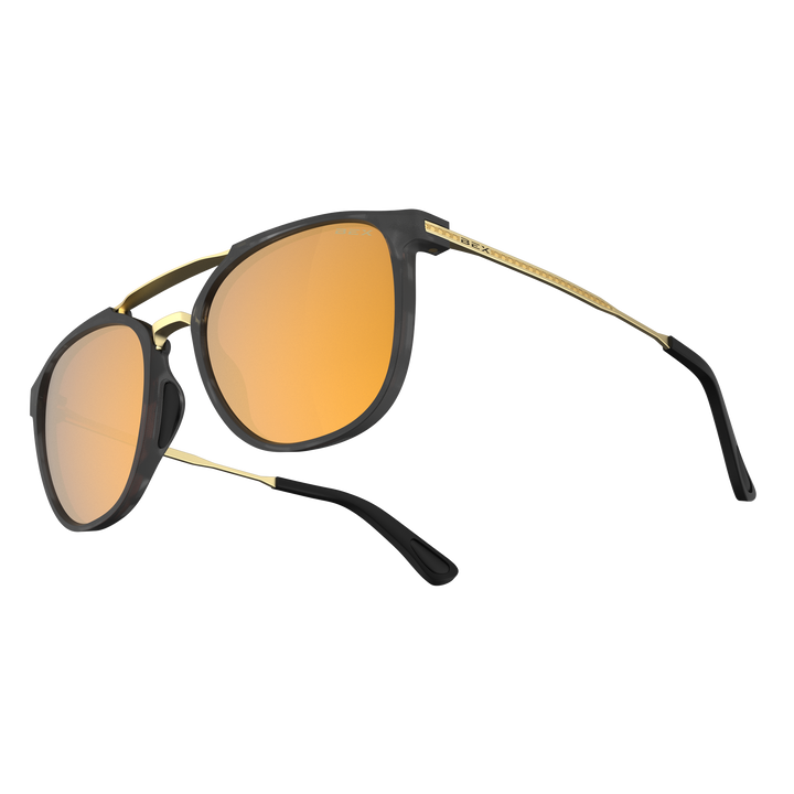 #color_tortoise-gray-brown-gold
