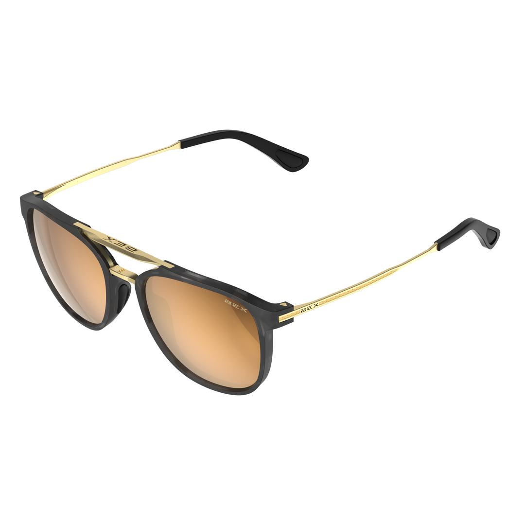 #color_tortoise-gray-brown-gold