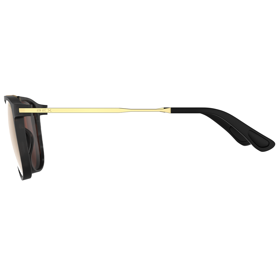 #color_tortoise-gray-brown-gold
