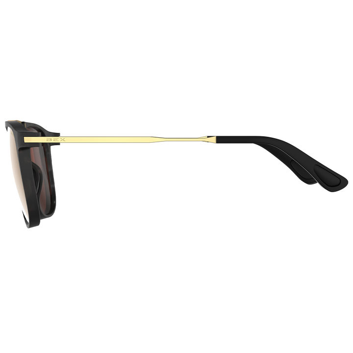 #color_tortoise-gray-brown-gold