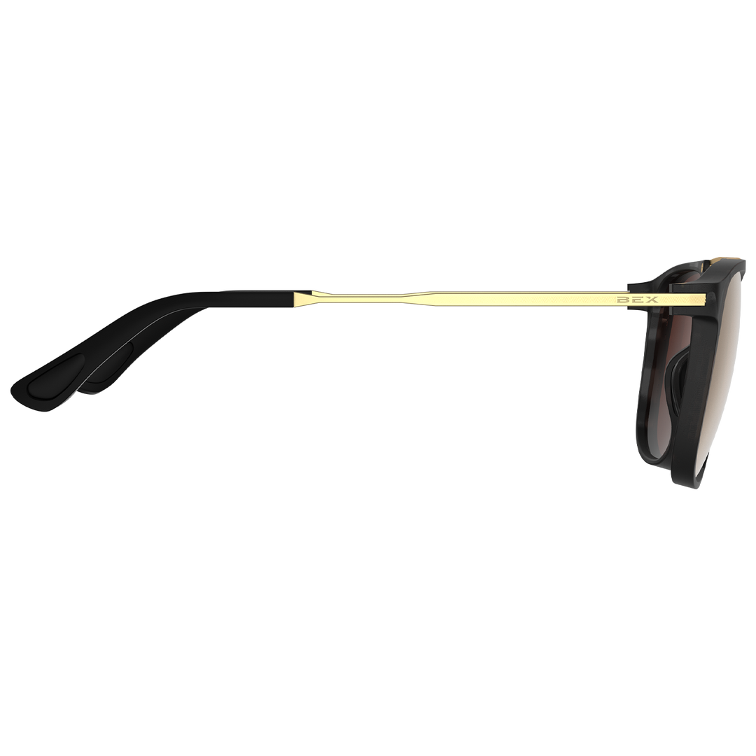 #color_tortoise-gray-brown-gold