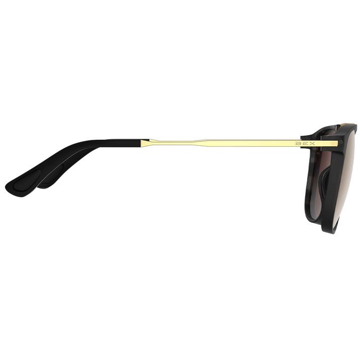 #color_tortoise-gray-brown-gold