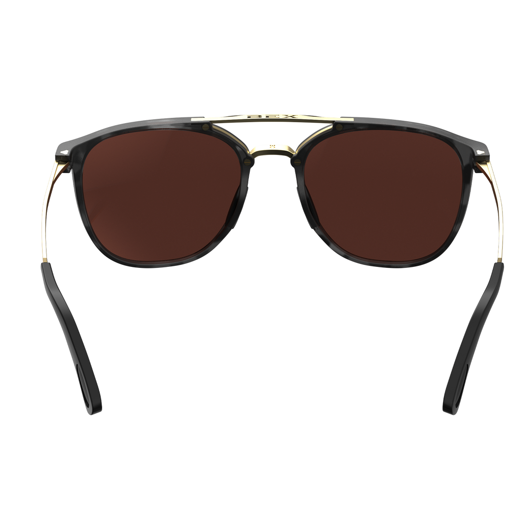 #color_tortoise-gray-brown-gold