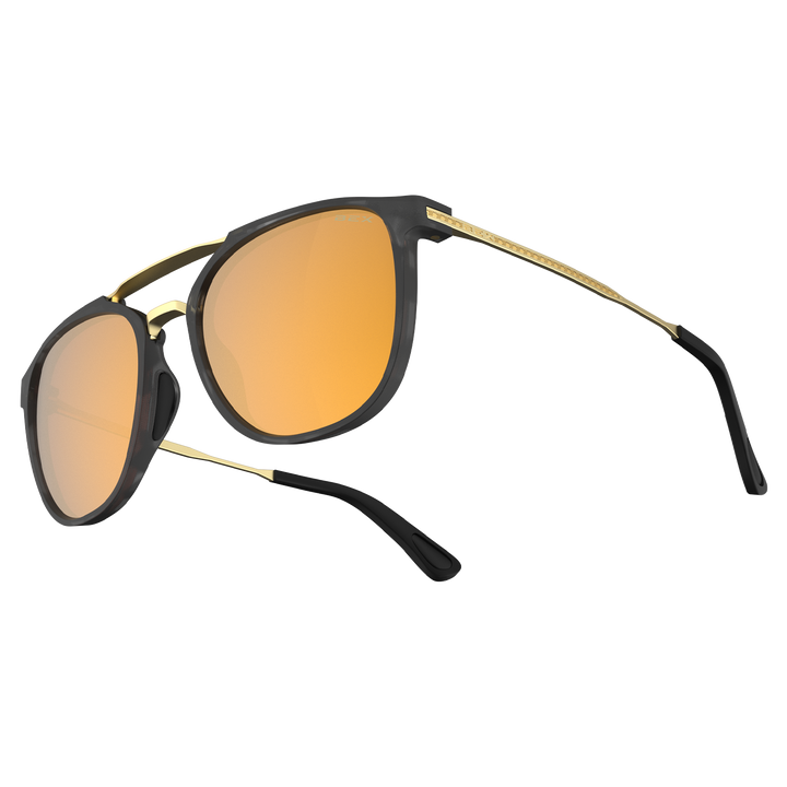 #color_tortoise-gray-brown-gold