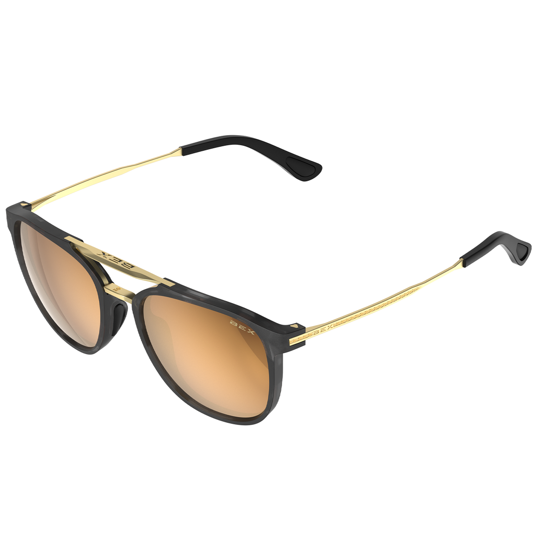 #color_tortoise-gray-brown-gold