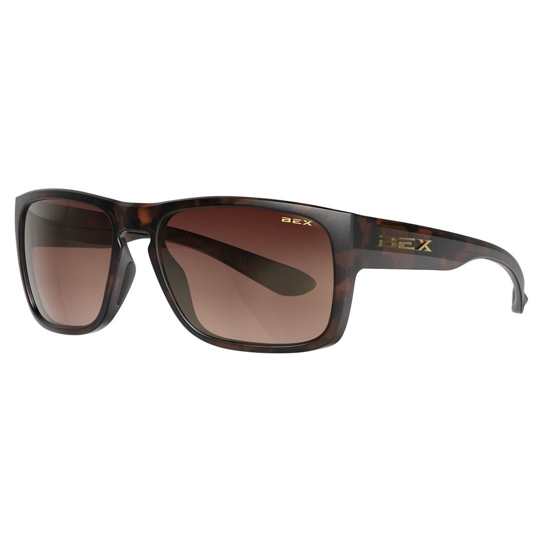 Sunglasses Jaebyrd OTG S122TBBRGL Tortoise Brown Brown Gold#color_tortoise-brown-brown-gold