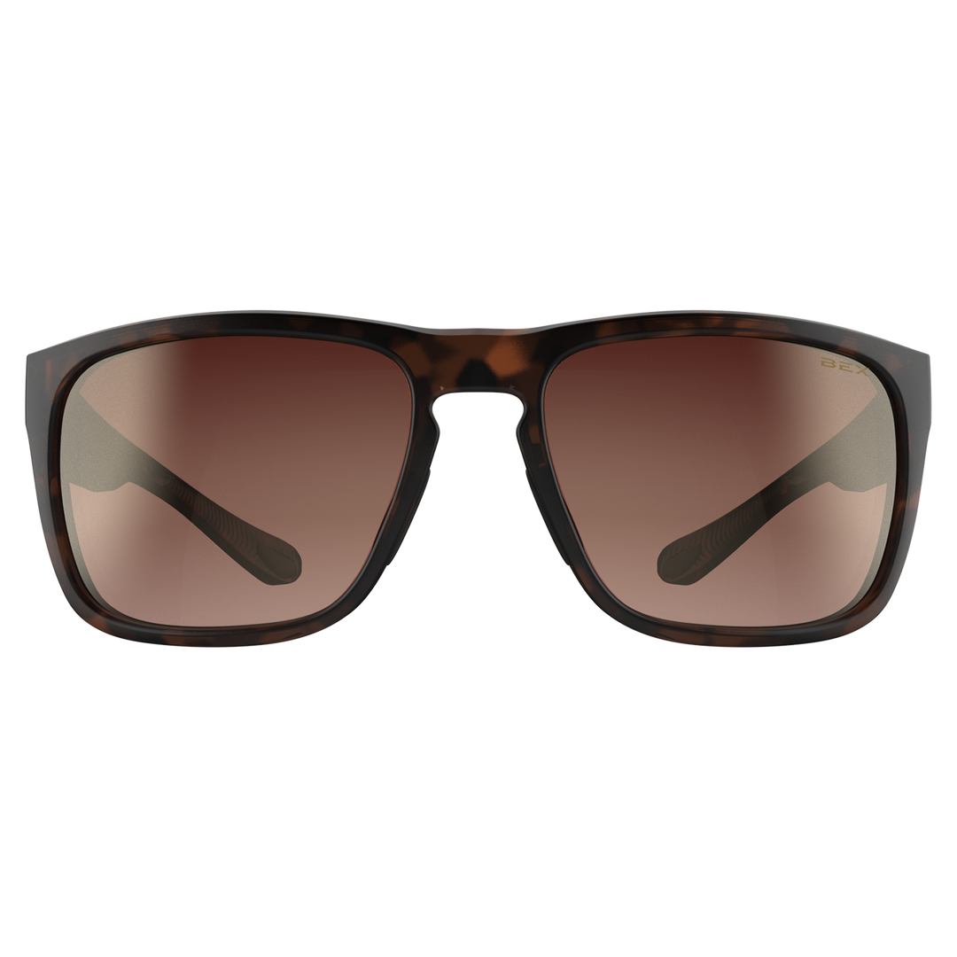 Sunglasses Jaebyrd OTG S122TBBRGL Tortoise Brown Brown Gold#color_tortoise-brown-brown-gold