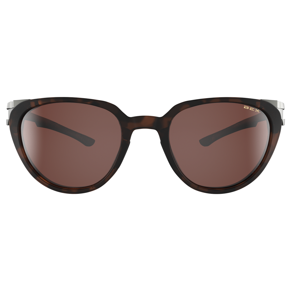 #color_tortoise-brown-brown-silver