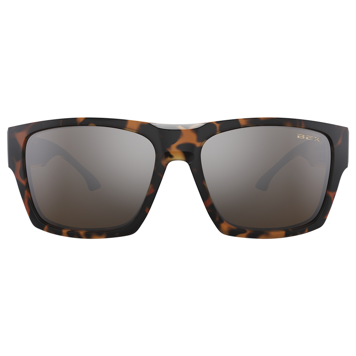 #color_tortoise-brown-silver