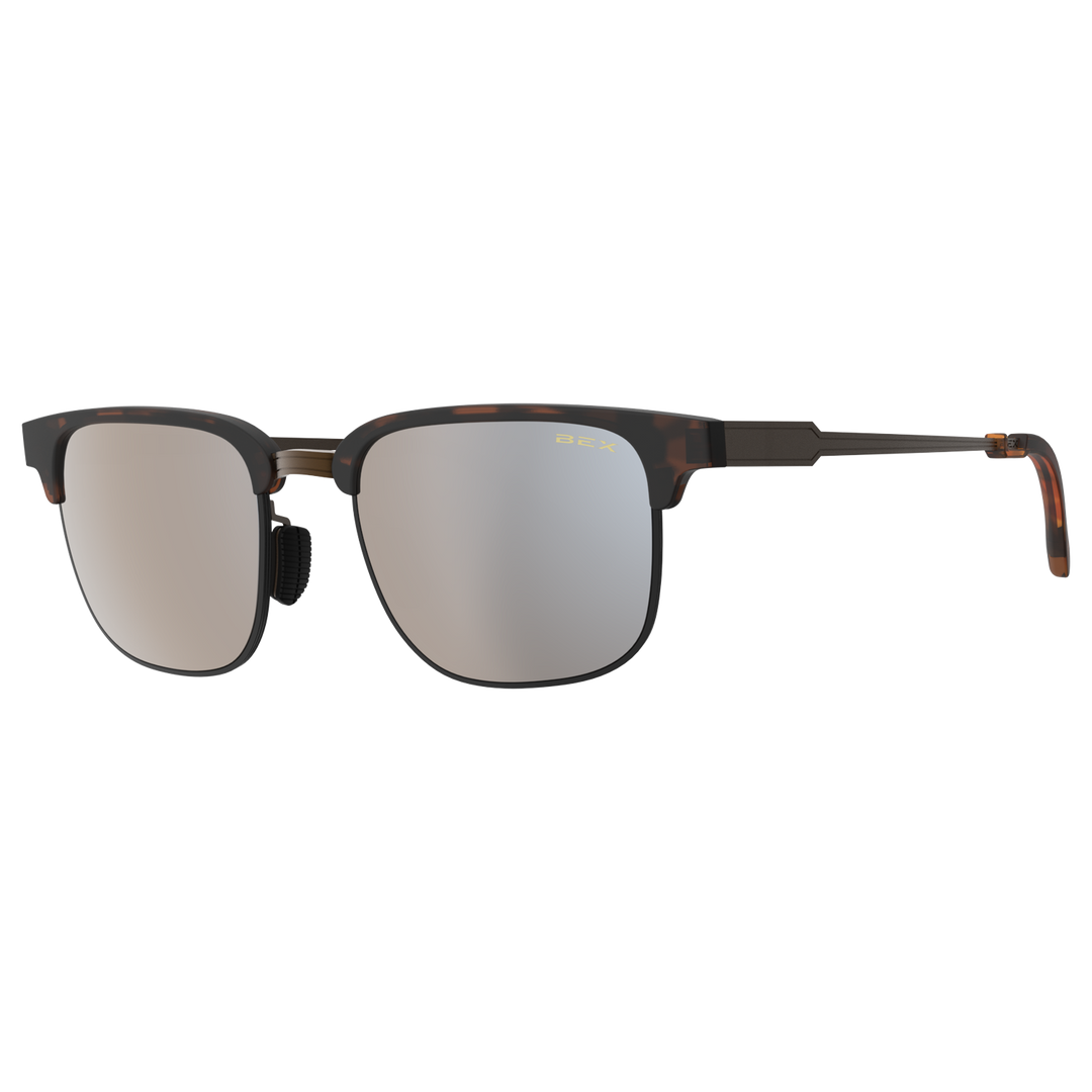 #color_tortoise-brown-silver