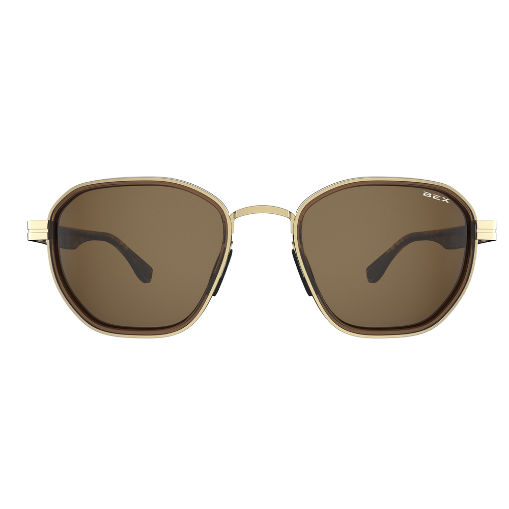 #color_tortoise-brown-gold-brown